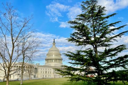 Trump-Team will „konkrete Beweise“ am 6. Januar präsentieren