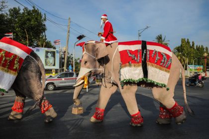 Weihnachtselefanten verteilen Gesichtsmasken in Thailand