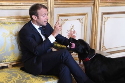 Macrons Hund Nemo sendet tierische Weihnachtsgrüße aus dem Elysée-Palast
