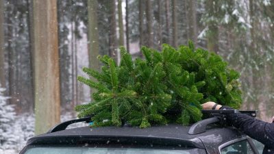 14-Jähriger bringt mit Sportwagen der Eltern Weihnachtsbaum zur Schule