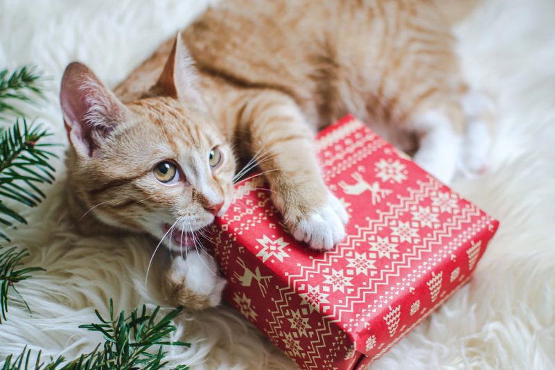 Einkaufen zu Weihnachten und zum Jahresende 2020: Was ist geöffnet?