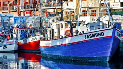 Ostseefischerei in größter Krise – Umsatz der Nordsee-Fischer hat sich halbiert