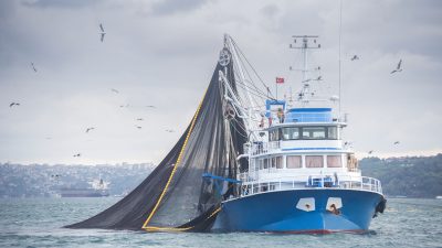 Klöckner verspricht deutschen Fischern Unterstützung