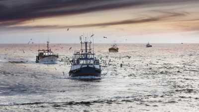 Französische Regierung greift Fischern nach Brexit-Handelsabkommen unter die Arme
