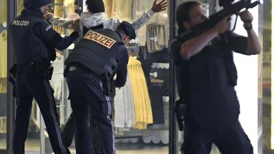 Untersuchungskommission mahnt zügige Staatsschutz-Reform nach islamistischen Anschlag in Wien an