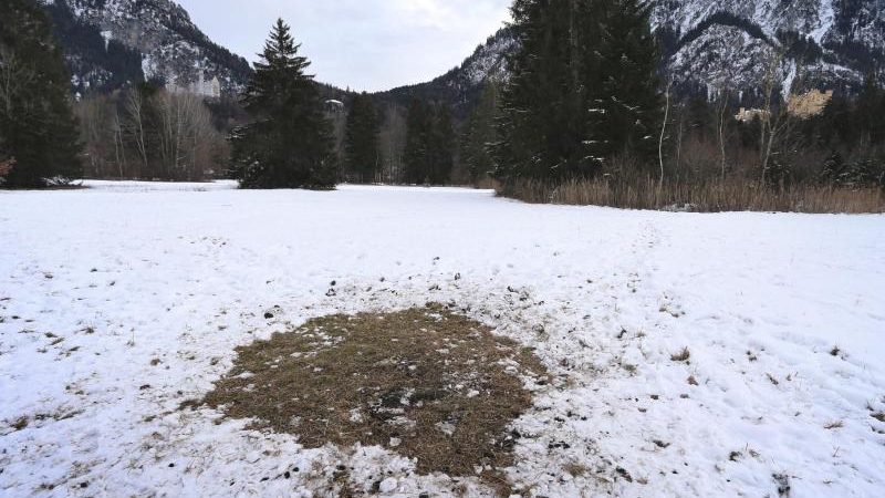 Rätselhafte Stele nahe Neuschwanstein wieder verschwunden