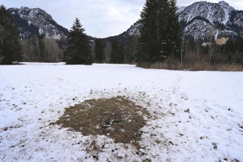 Der Seufzer – Von Christian Morgenstern