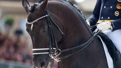 Teuerstes Dressur-Pferd der Welt: Totilas gestorben