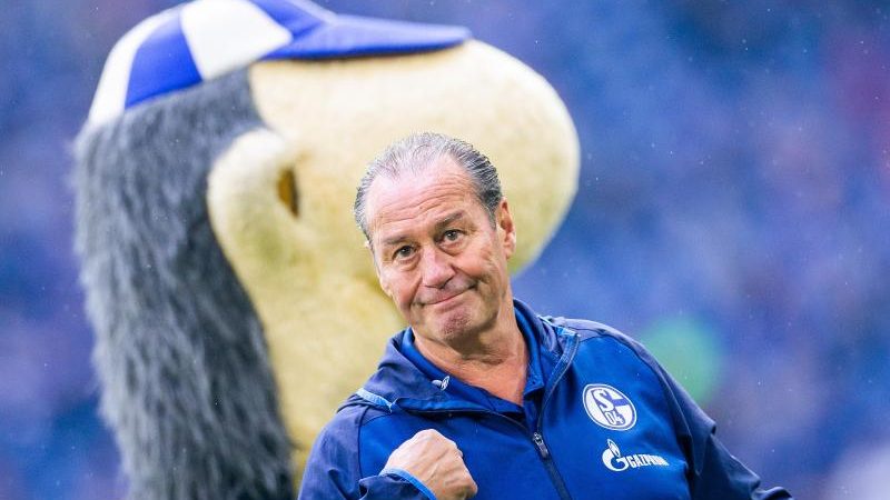 Medien: Schalke trennt sich von Baum – Stevens übernimmt