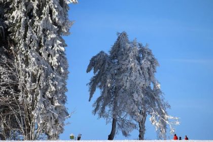 Meteorologen machen Hoffnung auf weiße Weihnachten