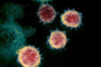 Bisher kein Nachweis für neuen Virus-Typ in Deutschland
