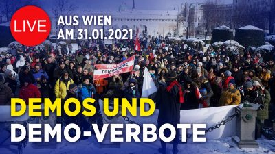 Corona-Kundgebung in Berlin – „In Solidarität zu unseren Bauern“ und „Deutschland unterstützt Österreich!“
