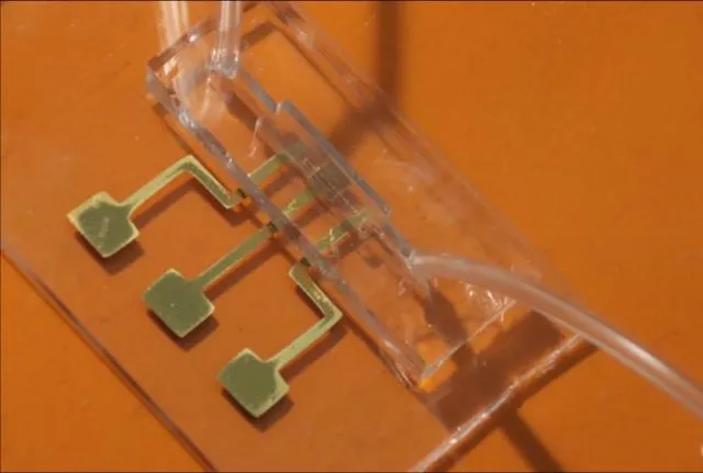 Ein Bild des Testchips, der COVID-19-Antikörper binnen Sekunden nachweisen kann.