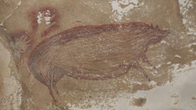 Zeichnung eines Sulawesi-Warzenschweins aus der Leang Tedongnge-Höhle