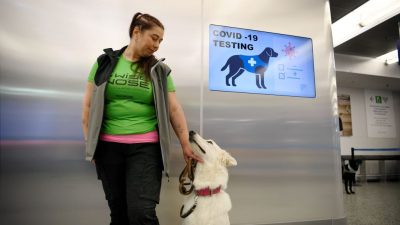 Tschechisches Corona-Spürhunde-Team will gern mit deutschen Nachbarn zusammenarbeiten
