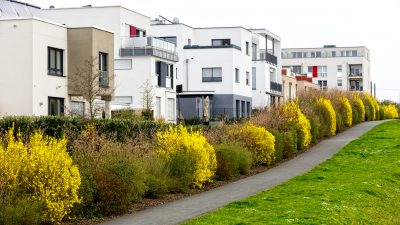 Einfamilienhaus als Feindbild: Grüne für Verbot neuer Eigenheim-Siedlungen