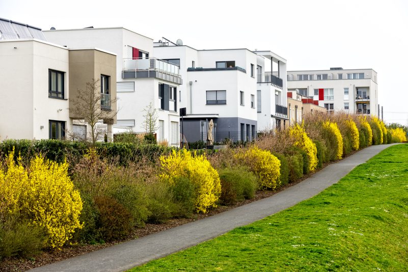 Einfamilienhaus als Feindbild: Grüne für Verbot neuer Eigenheim-Siedlungen