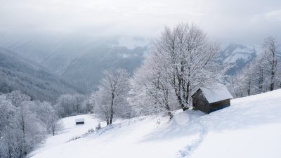 Sonntagsmärchen: Schneeweißchen und Rosenroth