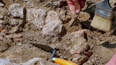 Israelische Forscher finden 3000 Jahre alte purpurfarbene Stoffreste
