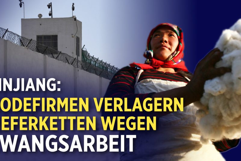 China-Firmen könnten UK-Schulen kaufen | Lieferketten wegen Zwangsarbeit aus Xinjiang verlagert