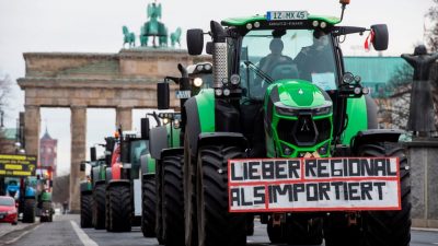 Bauern-Widerstand 2021 in Berlin: „Sie wollen uns weghaben, aber wir räumen das Feld nicht“
