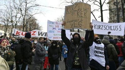 Spaziergang gegen Korruption, Skrupellosigkeit und die „Lügen-Hysterie-Diktatur“ in Österreich