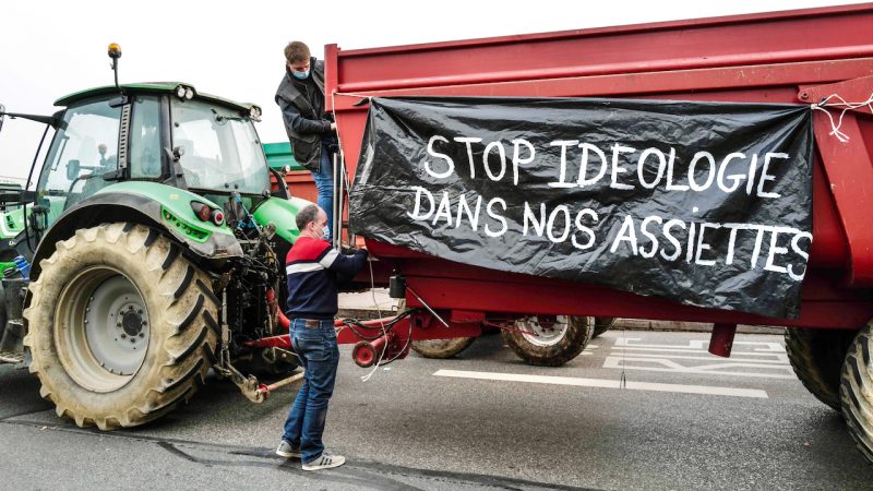 Frankreich streitet: Lyon beschließt rein vegetarisches Schulessen