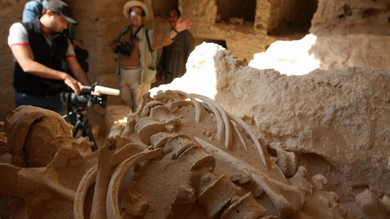 Ägypten: Forscher entdecken 2.000 Jahre alte „Mumien mit vergoldeten Zungen“
