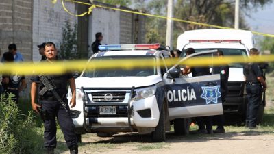 Zwölf Polizisten in Mexiko nach Fund von 19 Leichen nahe US-Grenze festgenommen