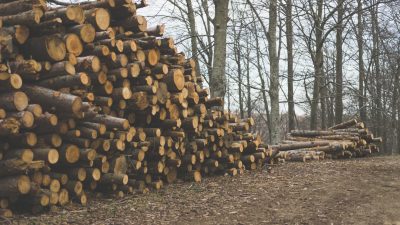 Nachfrage nach Brennholz steigt –  Vereinzelt Nachschubprobleme