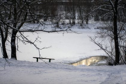 Berlin: Feuerwehr rettet Eisschwimmer nach mehrstündiger Suche