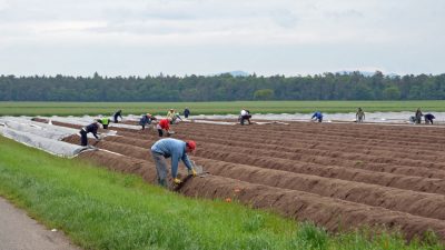 Obst- und Gemüsebauern fordern offene Grenzen für Saisonarbeitskräfte