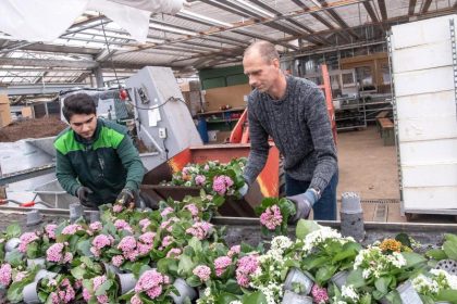 Tausenden Blumen droht der Abfallhaufen