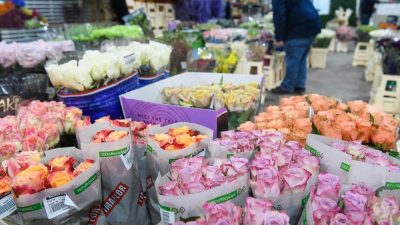 Trauriger Valentinstag: Blumenhandel leidet unter Lockdown