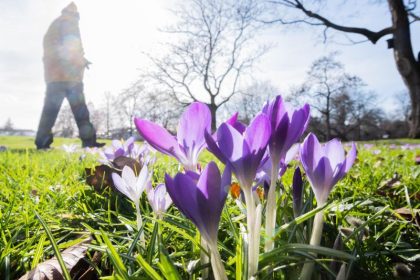 Kröten-Lust und Corona-Frust: Frühling am Wochenende