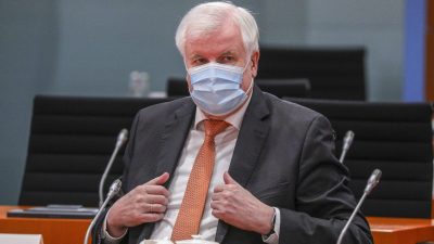 Seehofer: Testpflicht mit strengen Kontrollen und Bußgeldern durchsetzen