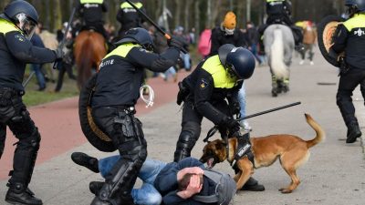 Video: Erneut Corona-Proteste in Den Haag – Polizei geht massiv gegen Demonstranten vor