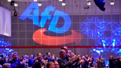 AfD scheitert in Karlsruhe mit Eilantrag zu Bekanntgabe von „Flügel“-Mitgliederzahl