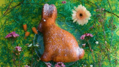 Möhren-Kokos-Hase – oder die zufällige Rettung des Sonntagskuchens