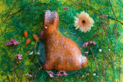 Möhre-Kokos-Hase
