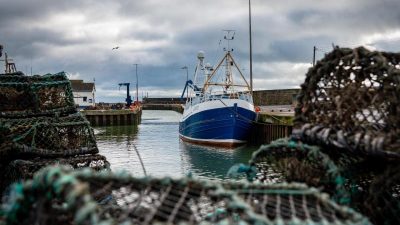 EU, Norwegen und UK einigen sich auf Fischfangmengen