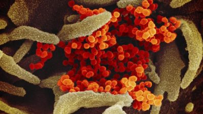 Studie: Coronavirus bereits seit Oktober 2019 ausgebrochen