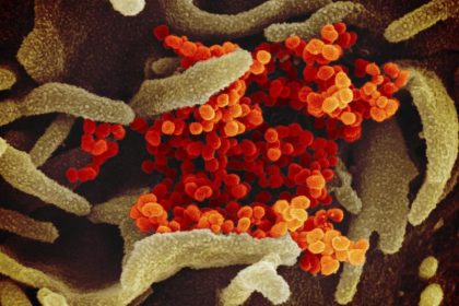 Studie: Coronavirus bereits seit Oktober 2019 ausgebrochen