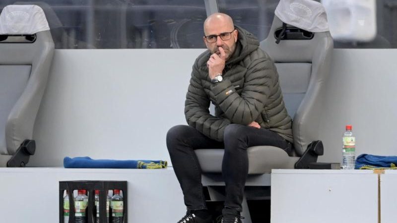 Bayer Leverkusen trennt sich von Trainer Peter Bosz
