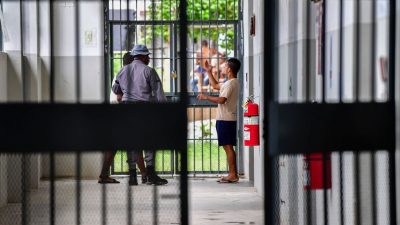 Gefängnisbehörden in Panama fangen vierbeinigen Drogenkurier ab