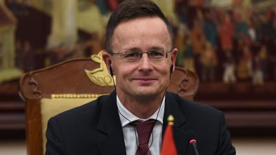 Petry-Fall: Ungarns Außenminister vermisst EU-Aufschrei – Journalisten starten Petition