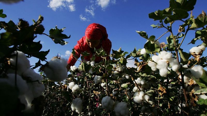 Klage gegen Textilkonzern wegen mutmaßlicher Ausbeutung von Uiguren in China