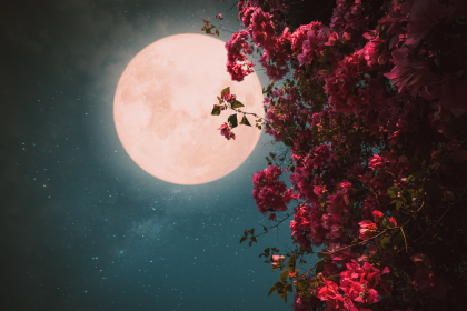 An den Mond – Von Johann Wolfgang von Goethe