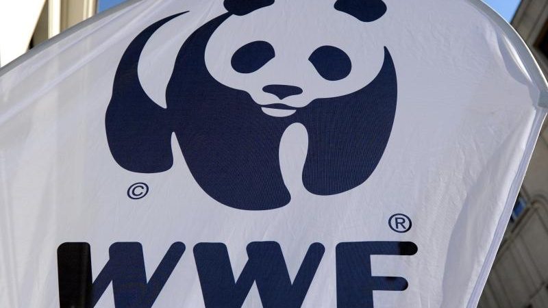 Großspender bleiben anonym: NABU und WWF treten aus Initiative für Lobbytransparenz aus