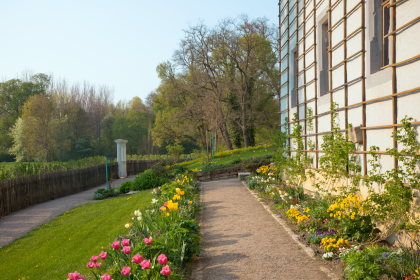 Ich ging im Walde so für mich hin – Von Johann Wolfgang von Goethe